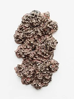 Drawings, Figures and Compression Fracture Paintings — Cameron Jamie — Exhibitions — Galerie Buchholz — Image 109