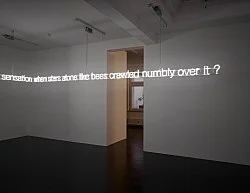 Permit yourself — Cerith Wyn Evans — Exhibitions — Galerie Buchholz — Image 40