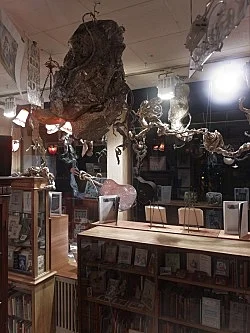 presented by Michael Krebber amp Sebastian Höckelmann — Jack Smith Antonius Höckelmann — Exhibitions — Galerie Buchholz — Image 30