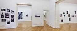 Wolfgang Tillmans Berlin 2010 — Wolfgang Tillmans — Exhibitions — Galerie Buchholz — Image 60