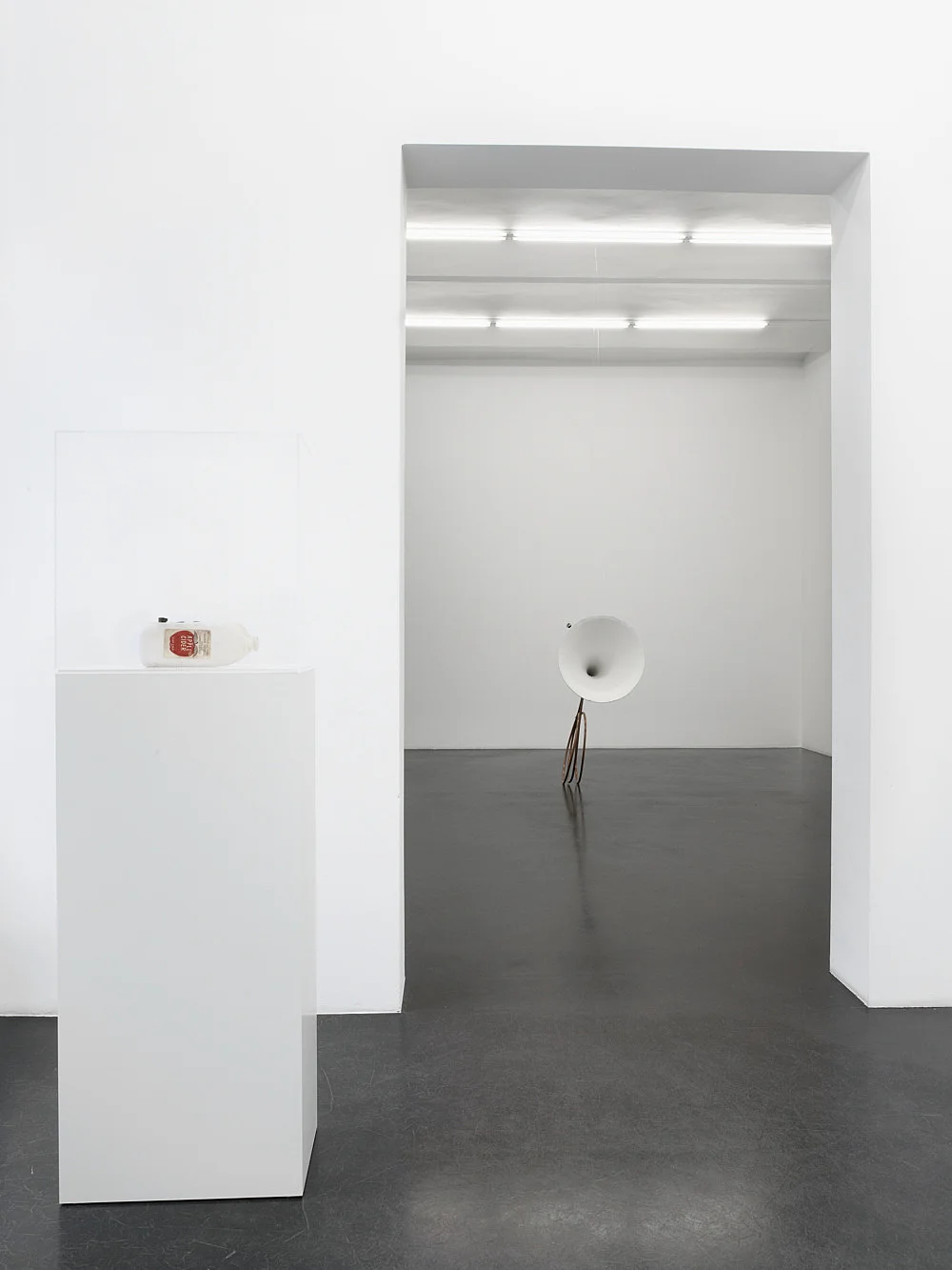 Invented Acoustical Tools Instruments 19662012 — Tony Conrad — Exhibitions — Galerie Buchholz — Image 05