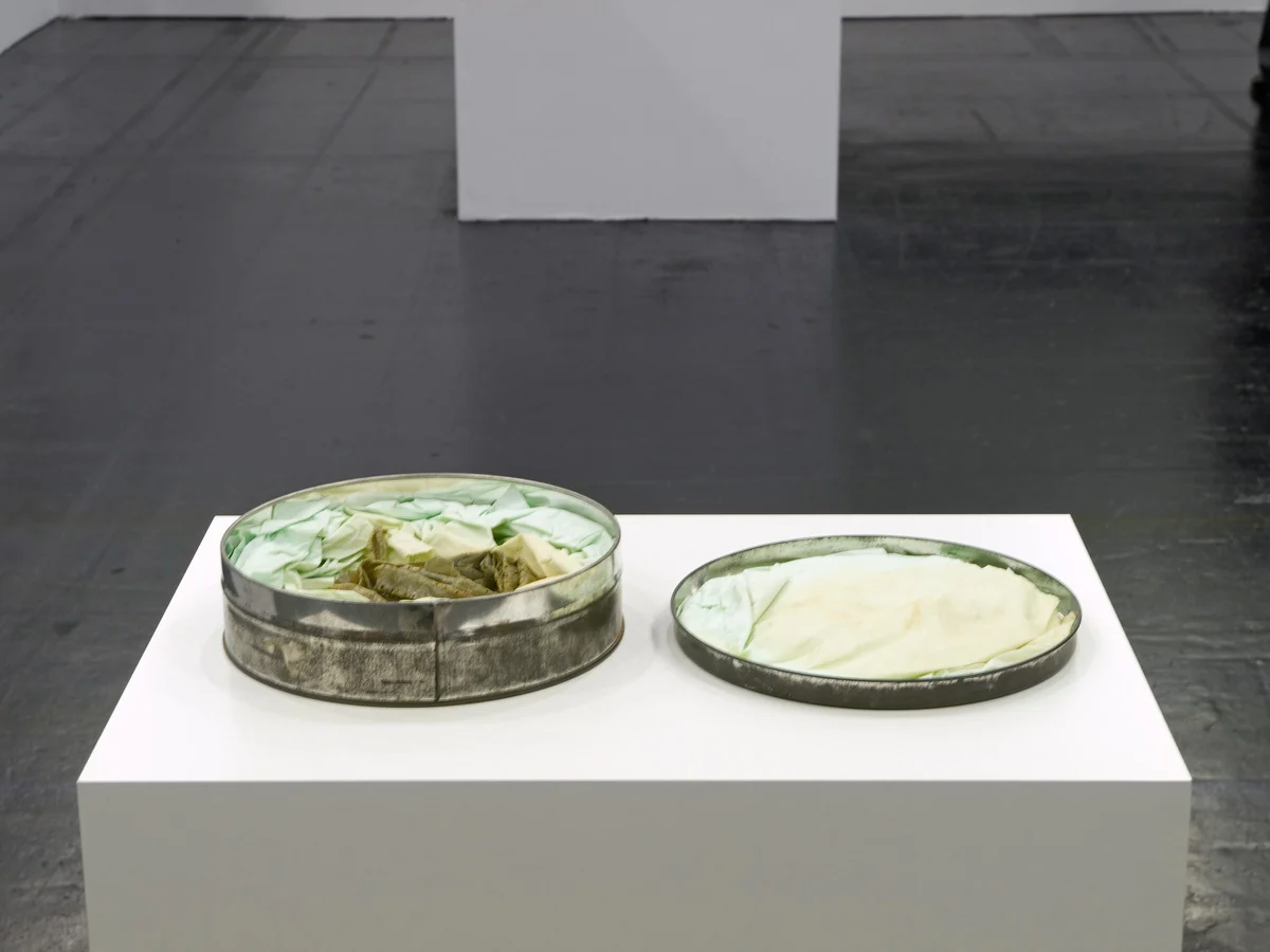 Yellow Movies — Tony Conrad — Exhibitions — Galerie Buchholz — Image 09