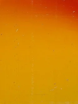 Silver — Wolfgang Tillmans — Exhibitions — Galerie Buchholz — Image 43