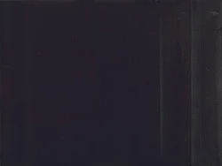 Silver — Wolfgang Tillmans — Exhibitions — Galerie Buchholz — Image 56