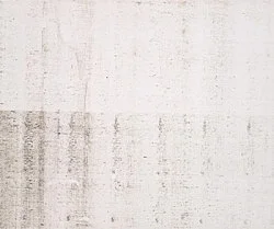 Silver — Wolfgang Tillmans — Exhibitions — Galerie Buchholz — Image 59