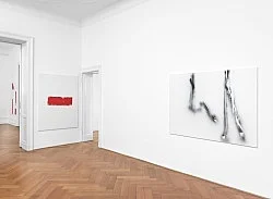 Systemic Relevance — Michael Krebber — Exhibitions — Galerie Buchholz — Image 61