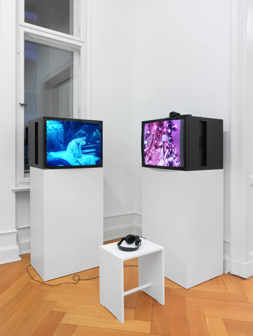 Pictures, Before and After An Exhibition for Douglas Crimp — Daniel Buren, Charles James, Antonio Lopez, Agnes Martin, Joseph Cornell, Robert Smithson, The Cockettes, Jack Smith,... — Exhibitions — Galerie Buchholz — Image 24