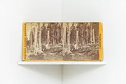 afterlife — Julie Ault — Exhibitions — Galerie Buchholz — Image 86