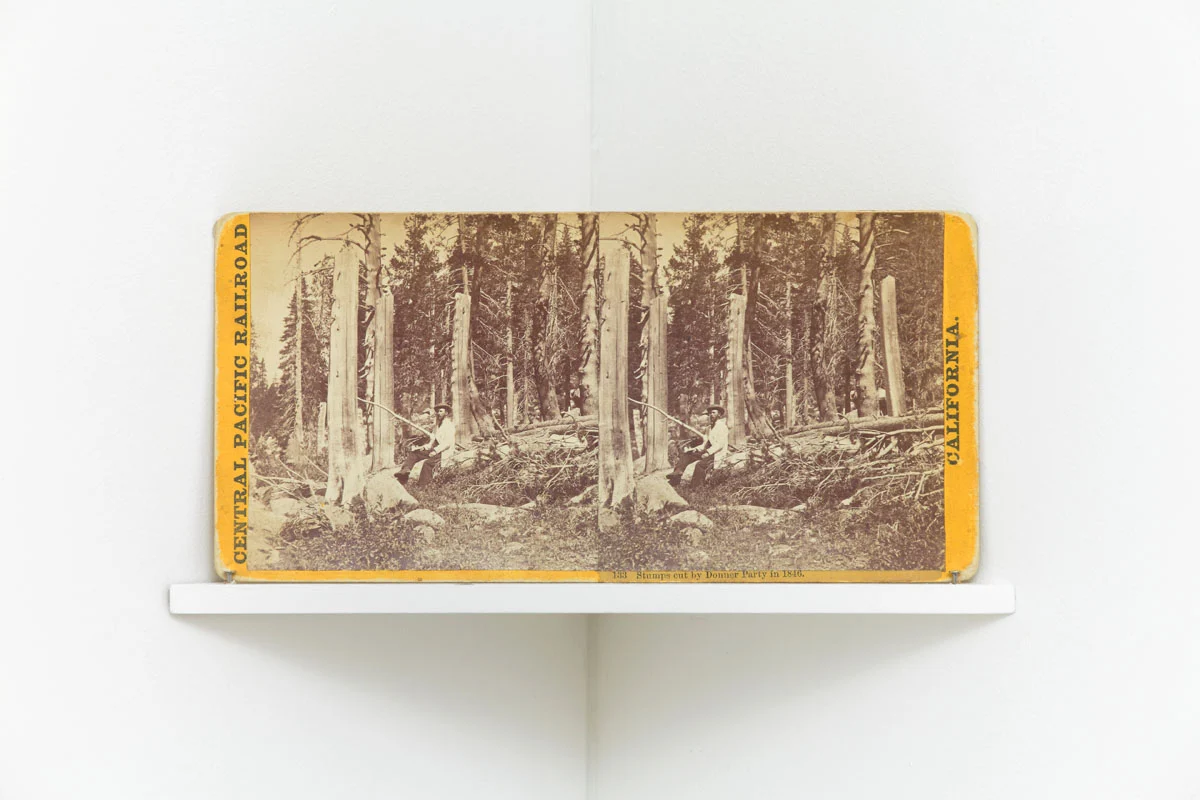 afterlife — Julie Ault — Exhibitions — Galerie Buchholz — Image 16