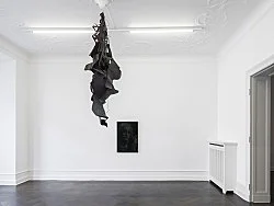 Divine Transportation — Lutz Bacher — Exhibitions — Galerie Buchholz — Image 38