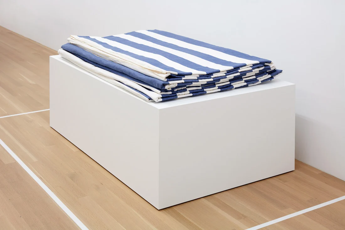 Douglas Crimp Before Pictures New York City 1967-1977 — Alvin Baltrop, Daniel Buren, The Cockettes, Joseph Cornell, Walker Evans, Jack Goldstein, Guy Hocquenghem, Peter... — Exhibitions — Galerie Buchholz — Image 12