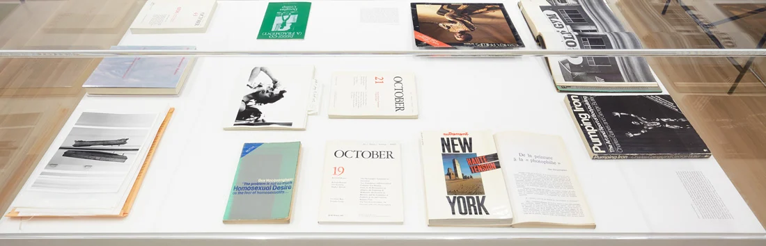 Douglas Crimp Before Pictures New York City 1967-1977 — Alvin Baltrop, Daniel Buren, The Cockettes, Joseph Cornell, Walker Evans, Jack Goldstein, Guy Hocquenghem, Peter... — Exhibitions — Galerie Buchholz — Image 107