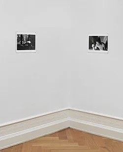 Portrait Landscape — Moyra Davey — Exhibitions — Galerie Buchholz — Image 45