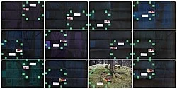 Portrait Landscape — Moyra Davey — Exhibitions — Galerie Buchholz — Image 49