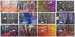 Portrait Landscape — Moyra Davey — Exhibitions — Galerie Buchholz — Image 52