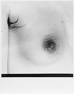 Moyra Davey Peter Hujar - Berlin 2020 — Moyra Davey Peter Hujar — Exhibitions — Galerie Buchholz — Image 122