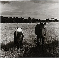 Moyra Davey Peter Hujar - Berlin 2020 — Moyra Davey Peter Hujar — Exhibitions — Galerie Buchholz — Image 128