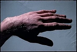 Moyra Davey Peter Hujar - Berlin 2020 — Moyra Davey Peter Hujar — Exhibitions — Galerie Buchholz — Image 140