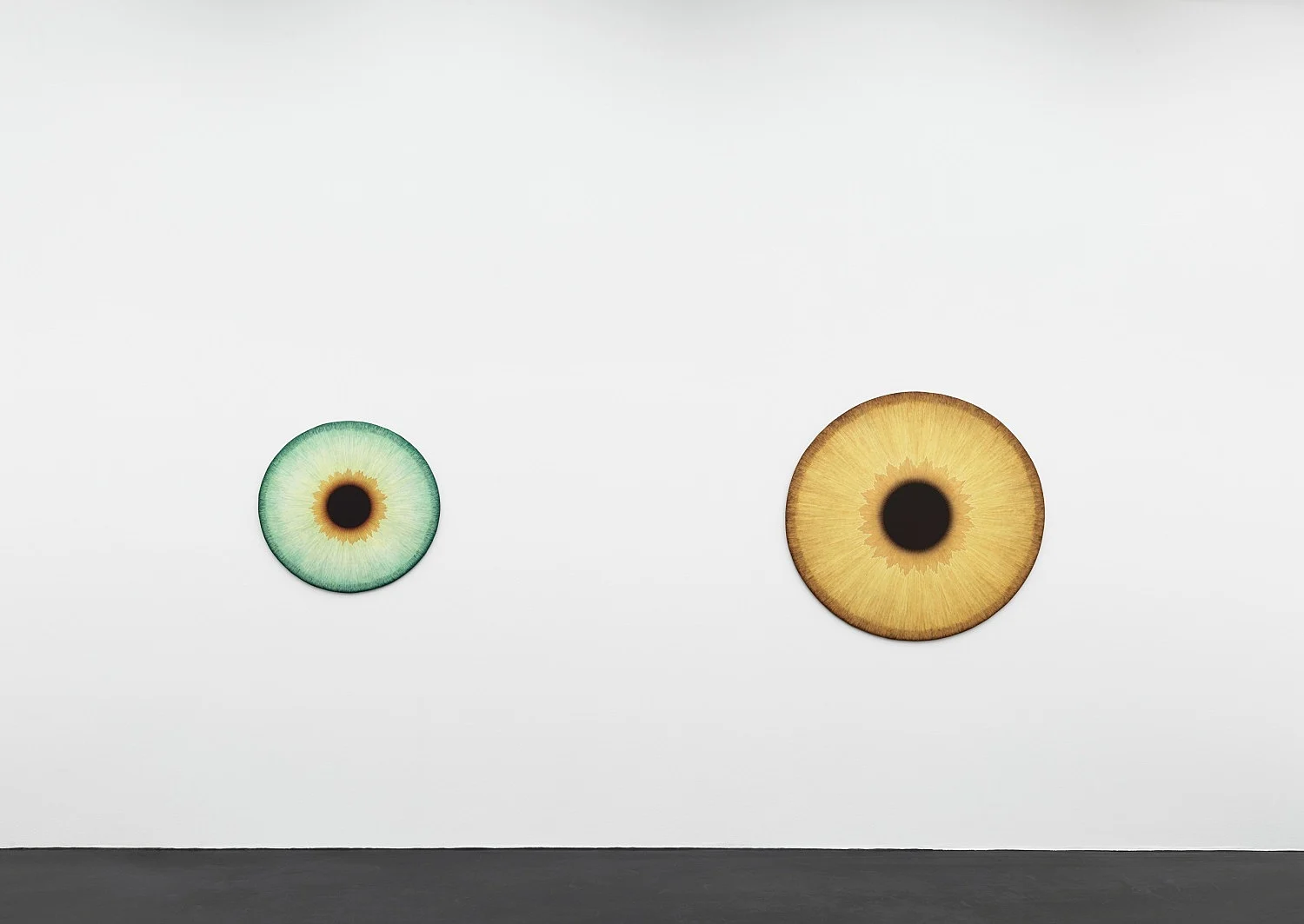 Visualities — Ulla Wiggen — Exhibitions — Galerie Buchholz — Image 07