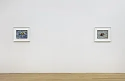 The Pea Stakers — John Kelsey — Exhibitions — Galerie Buchholz — Image 35