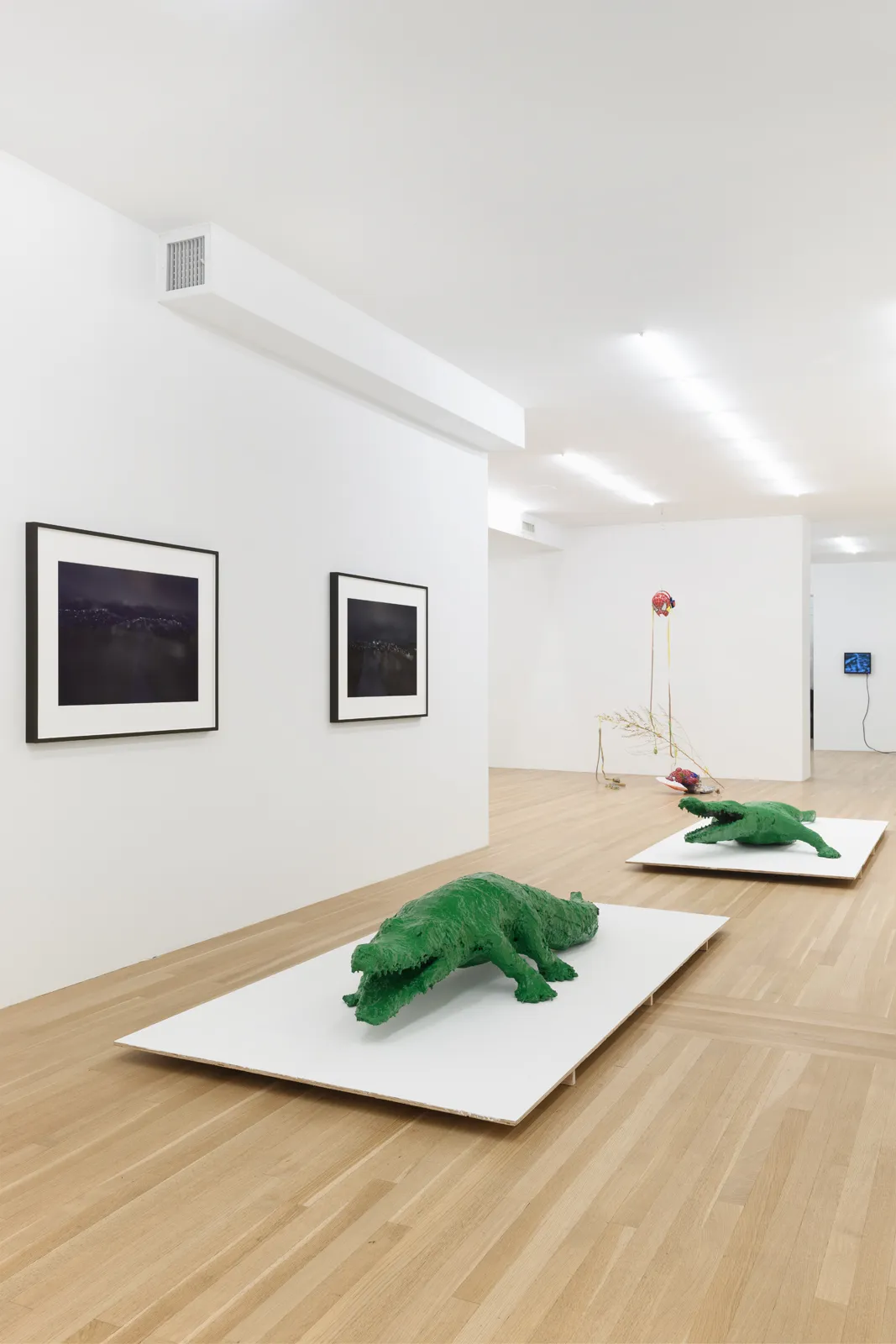 and a footnote on the idea of natural history in Jack Smith an exhibition organized with Juliane Rebentisch — Lutz Bacher, Isa Genzken, Anne Imhof, Michael Krebber, Henrik Olesen, Josephine Pryde — Exhibitions — Galerie Buchholz — Image 00