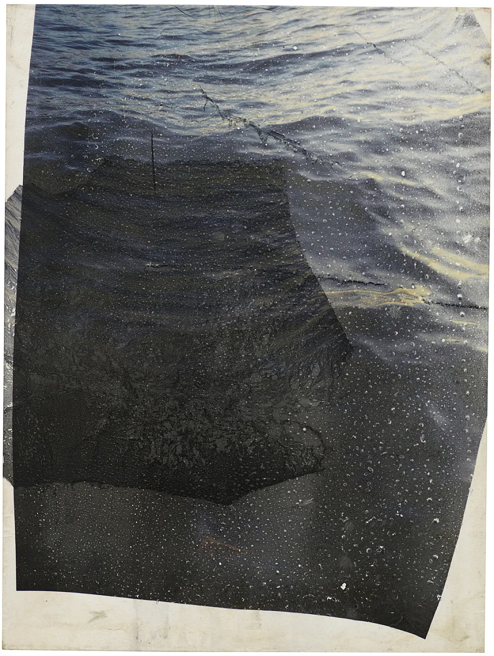 Dryad — Stewart Uoo — Exhibitions — Galerie Buchholz — Image 04