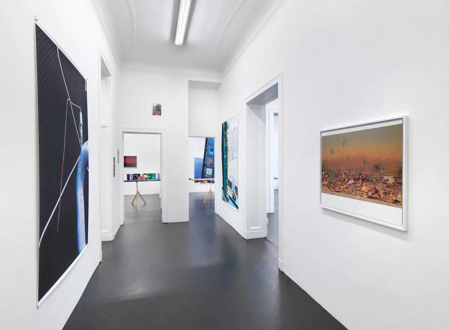 Summer Storm Rain Drops Freeze Frame — Wolfgang Tillmans — Exhibitions — Galerie Buchholz — Image 04