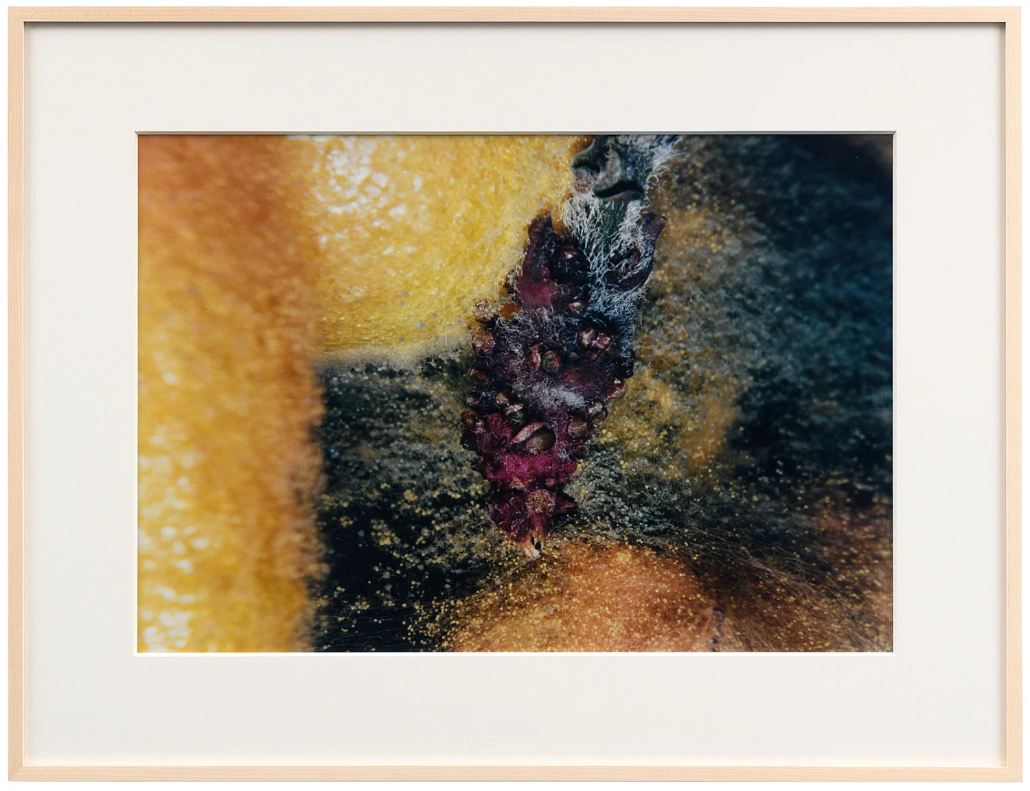 Teiku — Yair Oelbaum — Exhibitions — Galerie Buchholz — Image 21