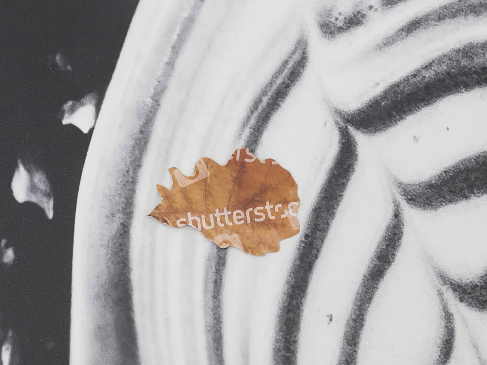 Autumn on Everything — Peter Fischli Gili Tal — Exhibitions — Galerie Buchholz — Image 00