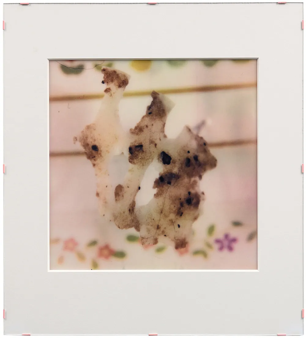 Teiku — Yair Oelbaum — Exhibitions — Galerie Buchholz — Image 38