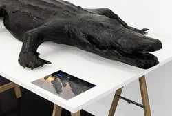 Food chain incl. prehistoric animals — Henrik Olesen — Exhibitions — Galerie Buchholz — Image 79