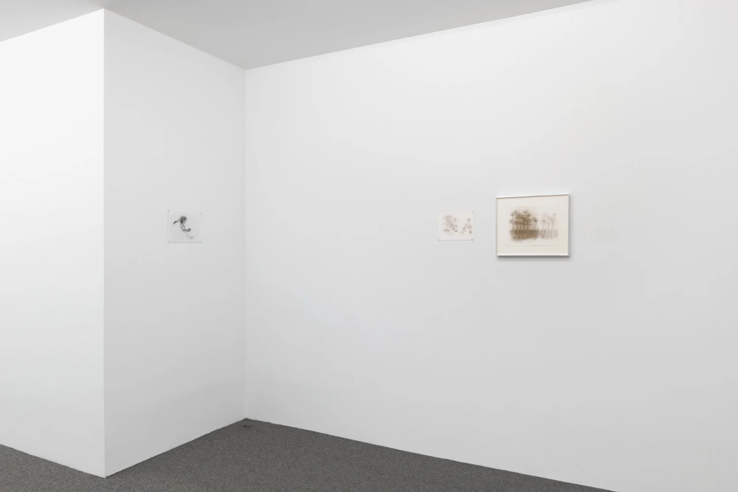 Correction of perspective in my bedroom — Alix Cléo Roubaud — Exhibitions — Galerie Buchholz — Image 20