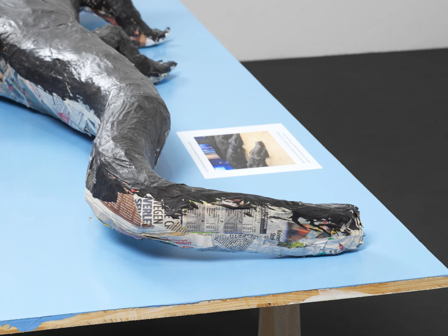 Food chain incl. prehistoric animals — Henrik Olesen — Exhibitions — Galerie Buchholz — Image 40