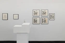 Projects for Outside ISA USA — Isa Genzken — Exhibitions — Galerie Buchholz — Image 134